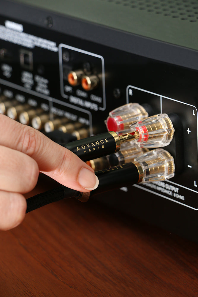 Advance Paris Link Speaker Cable