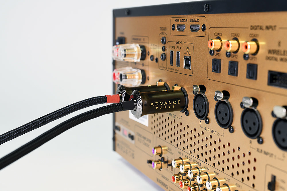 Advance Paris Link XLR Interconnect